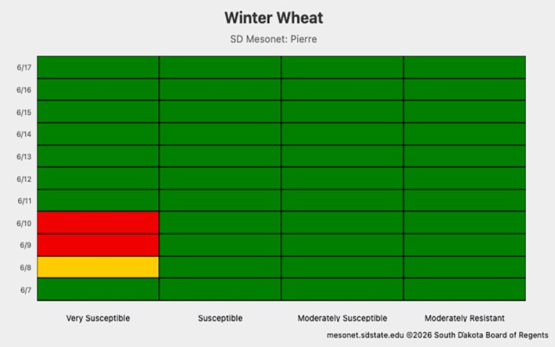 Bar chart showing Fusarium head blight prediction for flowering winter June 7-17 at the Pierre Mesonet station. For a detailed description, please call SDSU Extension at 605-688-4792.