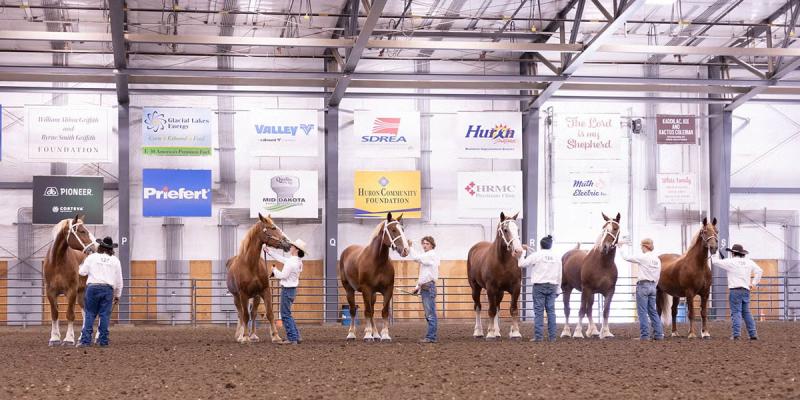 Six youth showing their horse at the 4-H State Horse Show