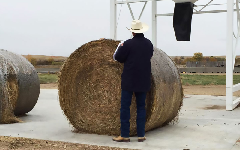 Producer inspecting a hay bale at the Cottonwood Research Station.