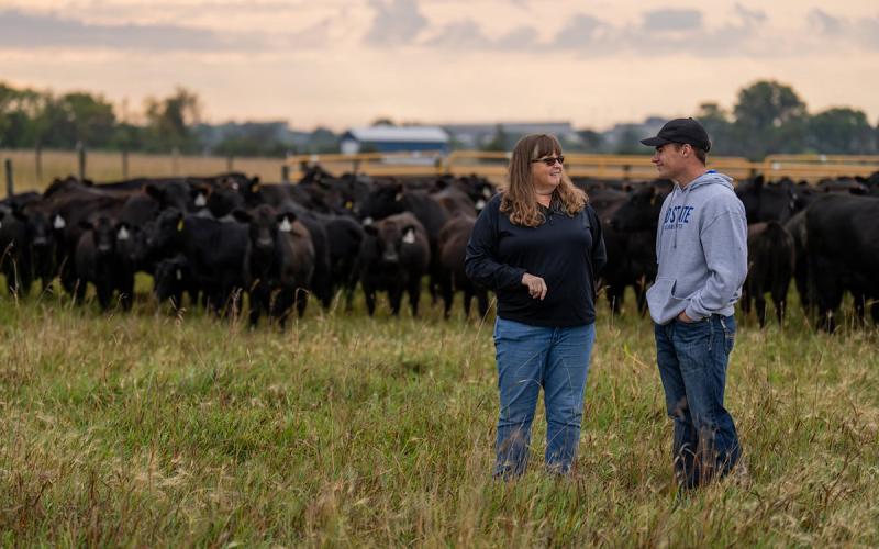 Julie Walker and a producer having a discussion in a pasture with a herd of black cattle in the background.