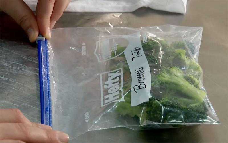 Hands sealing a Ziplock bag of blanched broccoli for freezing.