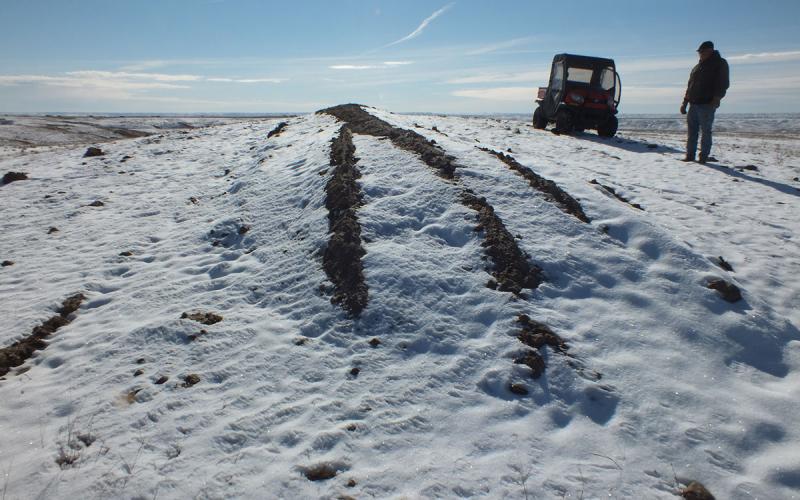 Rancher inspecting a livestock burial mound following the Atlas blizzard in South Dakota.