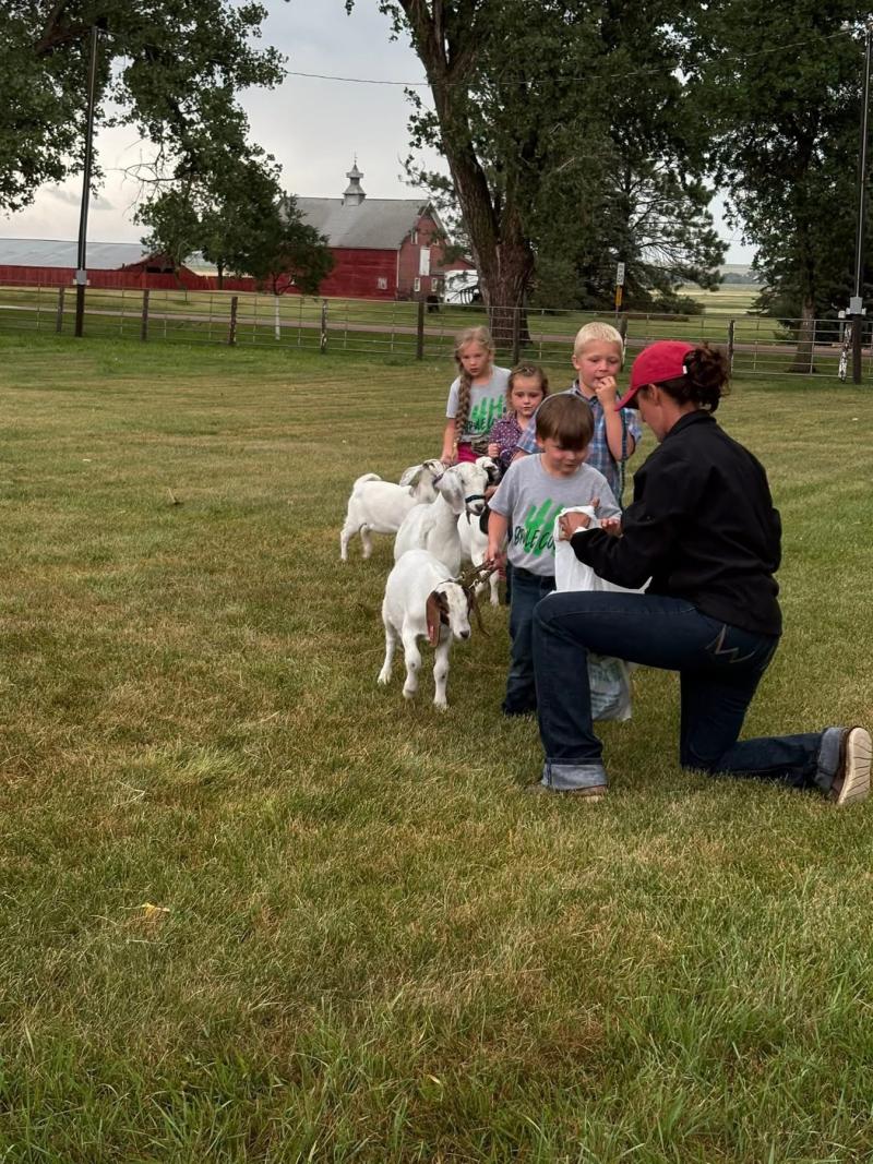 Youth kneel with goats in a line while a judge marks a scoresheet next to them