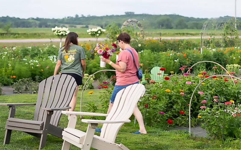 People gathered at a cut flower farm to pick flowers.