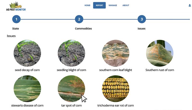 Crop issues reporting page displaying a variety of common corn diseases.