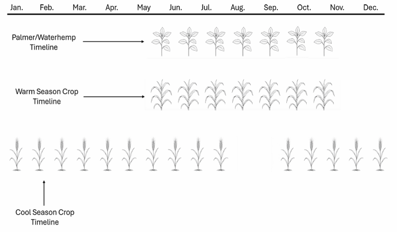 Timeline graph showing the growth timeline for Palmer amaranth/waterhemp, warm-season crops, and cool-season crops. For a detailed description, please call SDSU Extension at 605-688-4792.