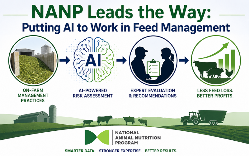 Infographic illustrating NANP’s feed management approach as a four-step process: On-farm management practices, AI-powered risk assessment, expert evaluation and recommendations, and reduced feed loss with improved profitability. Farm, livestock, feed storage, and feeding equipment imagery represents practical livestock production.
