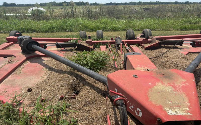 A red mower with tan, plant residue throughout. Green weeds are growing out of that tan residue.