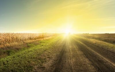sun rising over South Dakota field