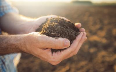 man holding a small pile of soil in his hands