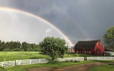 rainbow over green pasture with a red barn