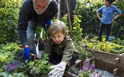 child and an older man planting flowers in a raised garden bed