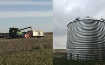 two photos with a grain bin and a combine off loading onto a truck.