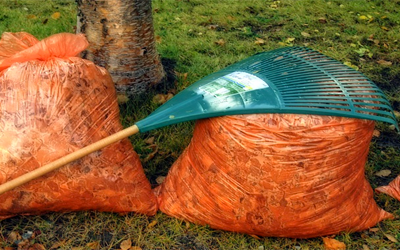 orange leaf bags full of leaves with a green rake lying on top