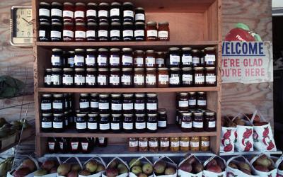 shelves lined with canned goods
