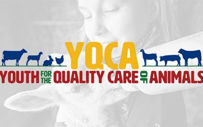 Youth For The Quality Care of Animals (YQCA) logo in front of a black and white image of a young girl feeding a small animal with a bottle
