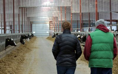 Two producers inspecting a dairy barn.