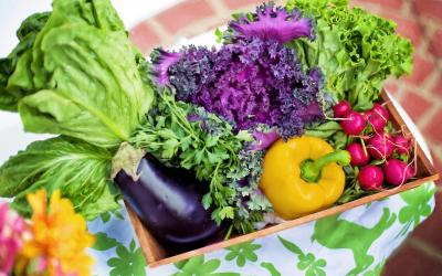 variety of fresh vegetables in basket