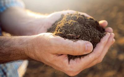 pair of hands holding soil