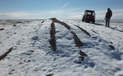 man inspecting livestock covered livestock burial pits following a winter storm