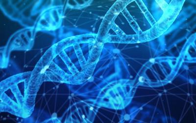 a series of dna chains