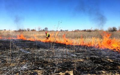 a prescribed burning taking place in a field