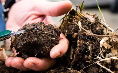 hand examining clump of soil organic matter