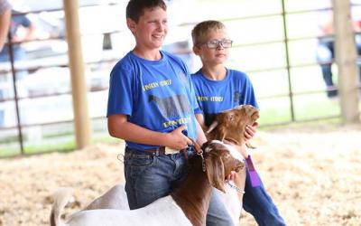two young males with their show goats at a competition