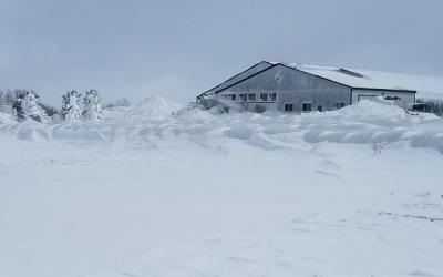 Dutch Dakota Dairy at Lake Preston South Dakota is inundated with snow after a recent blizzard that has made farm facility access very difficult due to extreme snow depth. Courtesy: Truus Schukking