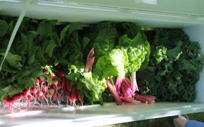 bunches of fresh garden greens ready to eat