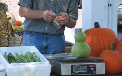 Male merchant weighing a green gourd on a digital scale at a farmers market.