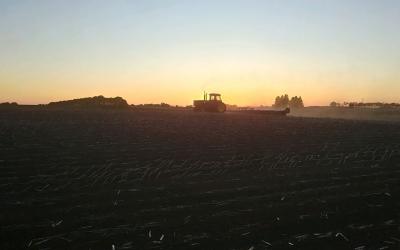 Tractor preparing a soybean field for planting at twilight.