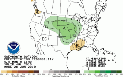 Color-coded map of the United States indicating predicted precipitation for July 2019. South Dakota is set to experience above normal precipitation.