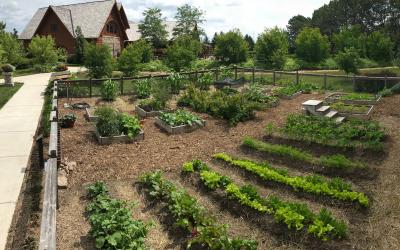 A group of raised ground beds with crops growing in them at McCrory Gardens in Brookings, South Dakota.