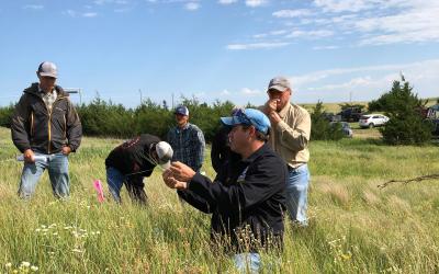 six men in a pasture analyzing the types of grasses.