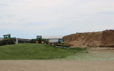 Three, four-wheel drive John Deere tractors, pushing up chopped corn silage into a drive over pile on a dairy farm.