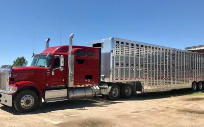 a red semi truck with a cattle trailer attached behind it