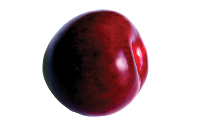 A red-purple plum.