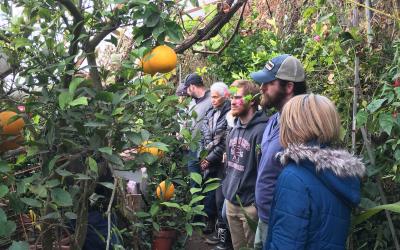 A group of tribal educators and wellness coalition members visiting a geothermal greenhouse growing and selling citrus fruits in cold Northern Nebraska in January.