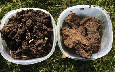 Left: Soil from long-term no-till field, exhibiting good soil aggregation through clumping and smaller pieces of soil. Right: Soil from conventionally managed field that included tillage and crop residue removal. Notice the soil is lighter brown, indicating lower organic matter, and the pieces of soil are in larger chunks with no visible indication of clumping or structure.