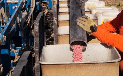 A producer loading a planter with fungicide-treated soybean seeds.