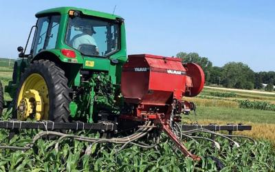 A green tractor, pulling a red, high-clearance planter through a field of emerging corn.