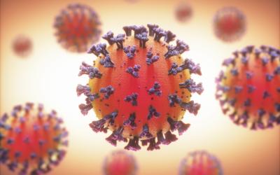 20-02-covid19 series of red cells representing coronavirus