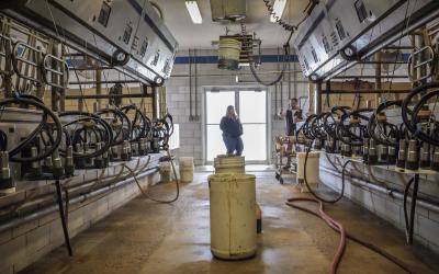 A dairy producer talking to an employee inside a milking facility.