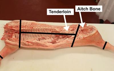 A pork carcass that has been cut in half. There are black lines demonstrating where to cut the carcass into its primal cuts. White arrows call out the tenderloin section and the aitch bone. For a complete description, contact SDSU Extension at: 605-688-4792