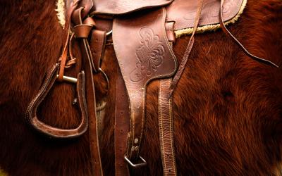 a brown saddle on a brown horse