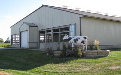A statue of a dairy cow on a landscaped terrace in front of a long dairy barn.