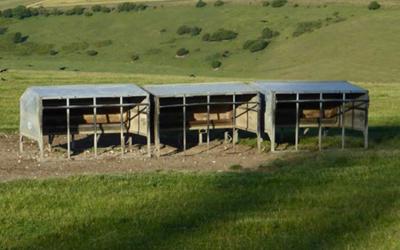 A series of three creep feeders placed on an open range. Courtesy: Robin Webster (CC BY-SA 2.0)