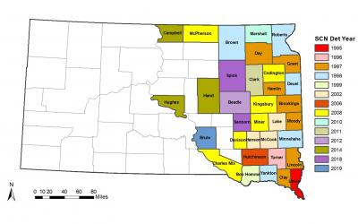 A map of South Dakota counties shaded to indicate the year for which the soybean cyst nematode was detected.