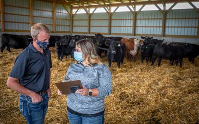 Male and female rancher reviewing clipboard in a cattle barn.